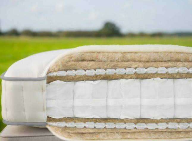 Harrison Spinks Amber Ortho